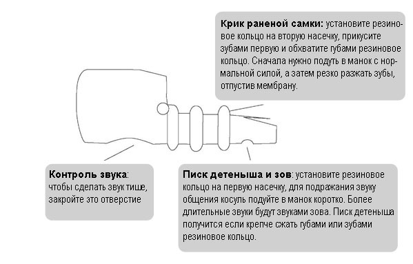 Как Сделать Манок Фото